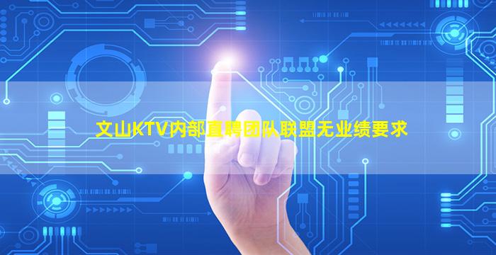 文山KTV内部直聘团队联盟无业绩要求